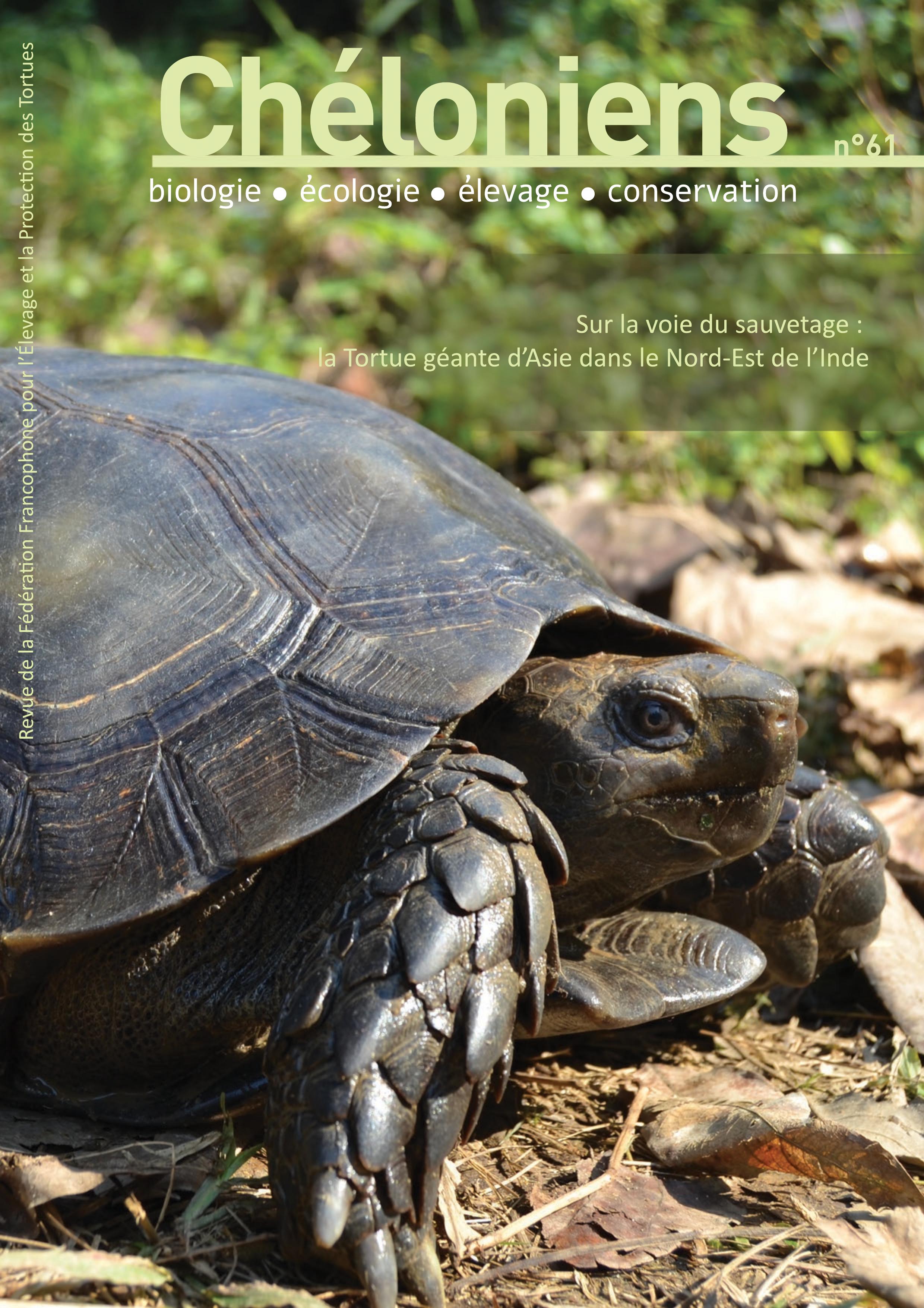Couverture — Sur la voie du sauvetage : la Tortue géante d'Asie