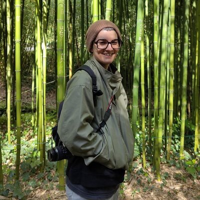 Manon